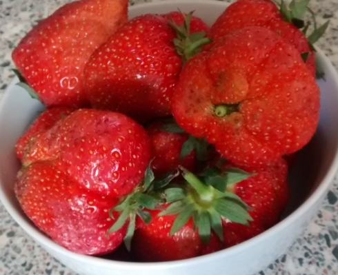 uglystrawberries